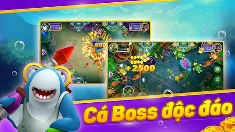 hình ảnh boss cá 